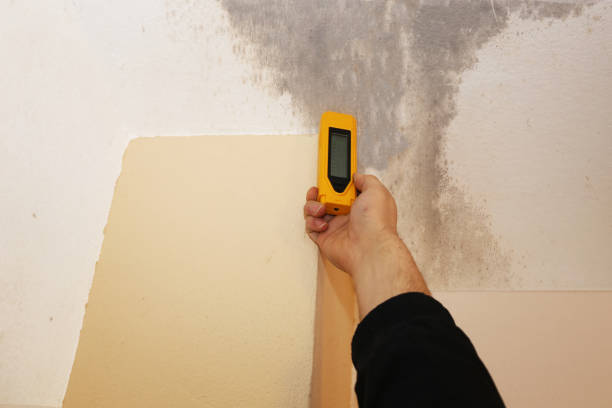 Best Residential Mold Inspection & Testing  in Wapello, IA