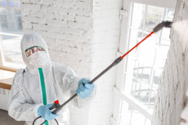 Mold Remediation for Rental Properties in Wapello, IA