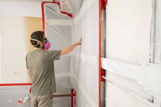 Best Attic Mold Removal  in Wapello, IA